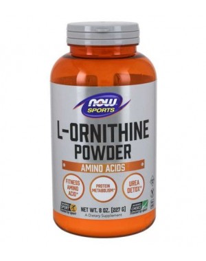 L Ornithine em pó 227g NOW Foods