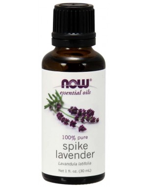 Óleo Essencial Spike Lavender 30ml NOW Foods