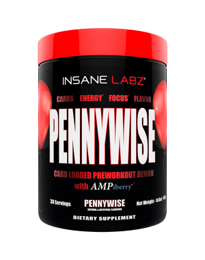 Pennywise - Insane Labz